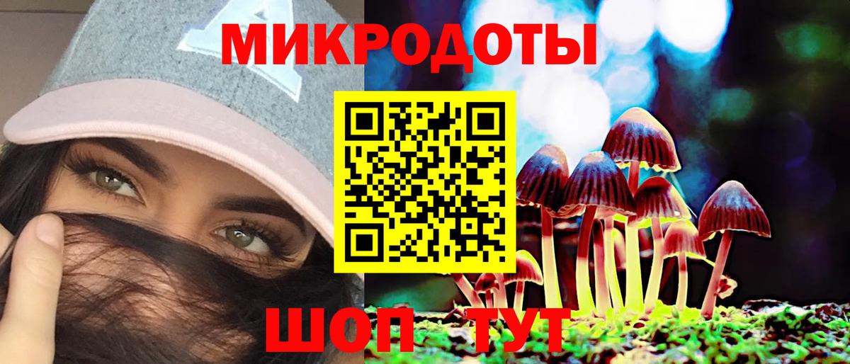 Псилоцибиновые грибы мицелий Коркино