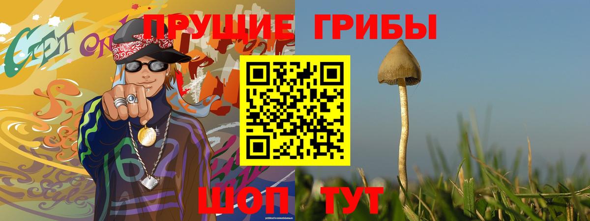 Коркино  Галлюциногенные грибы ЛСД  Галлюциногенные грибы Cubensis  Вход с VPN 